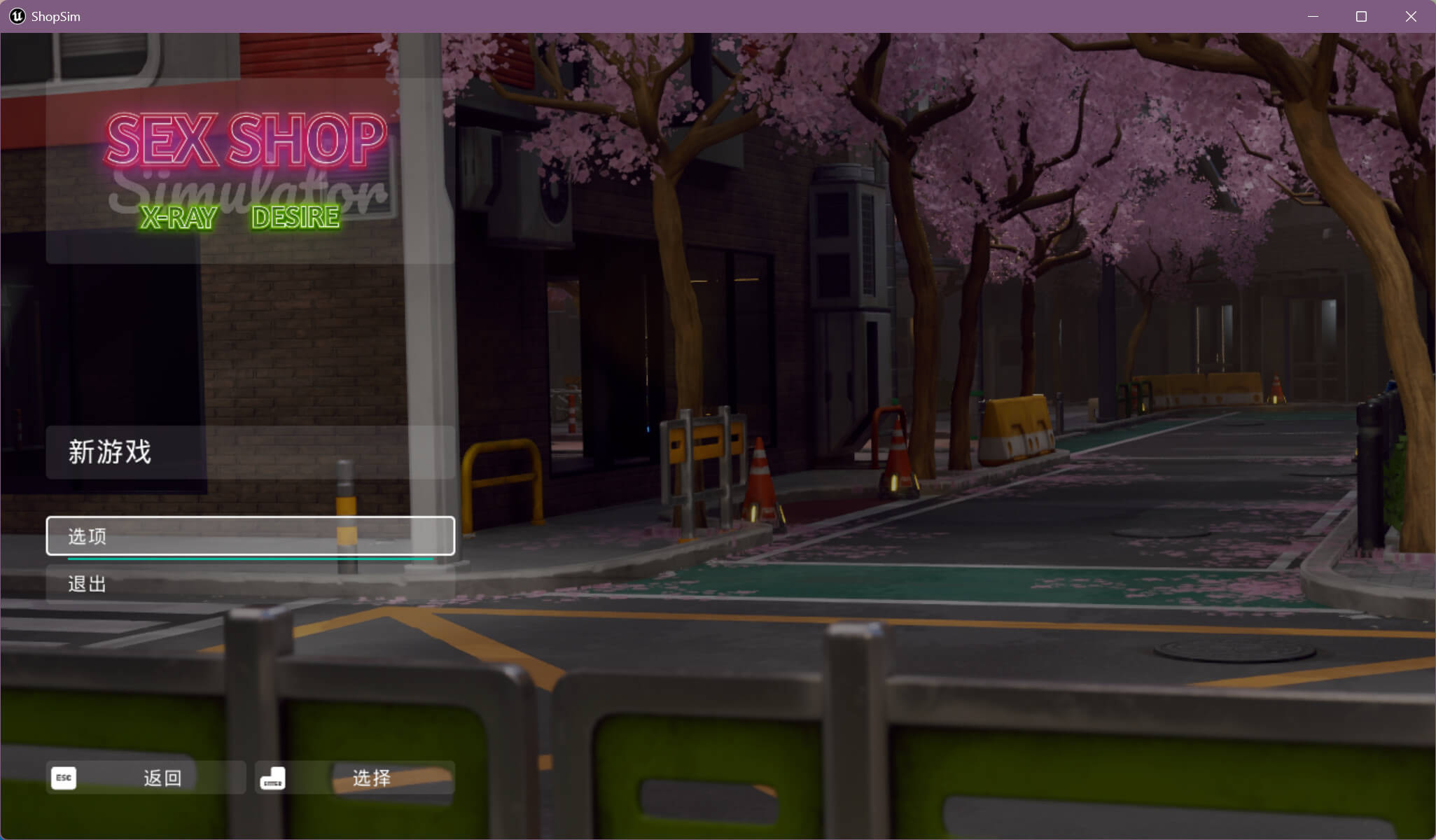 Sex Shop Simulator X-RAY DESIRE