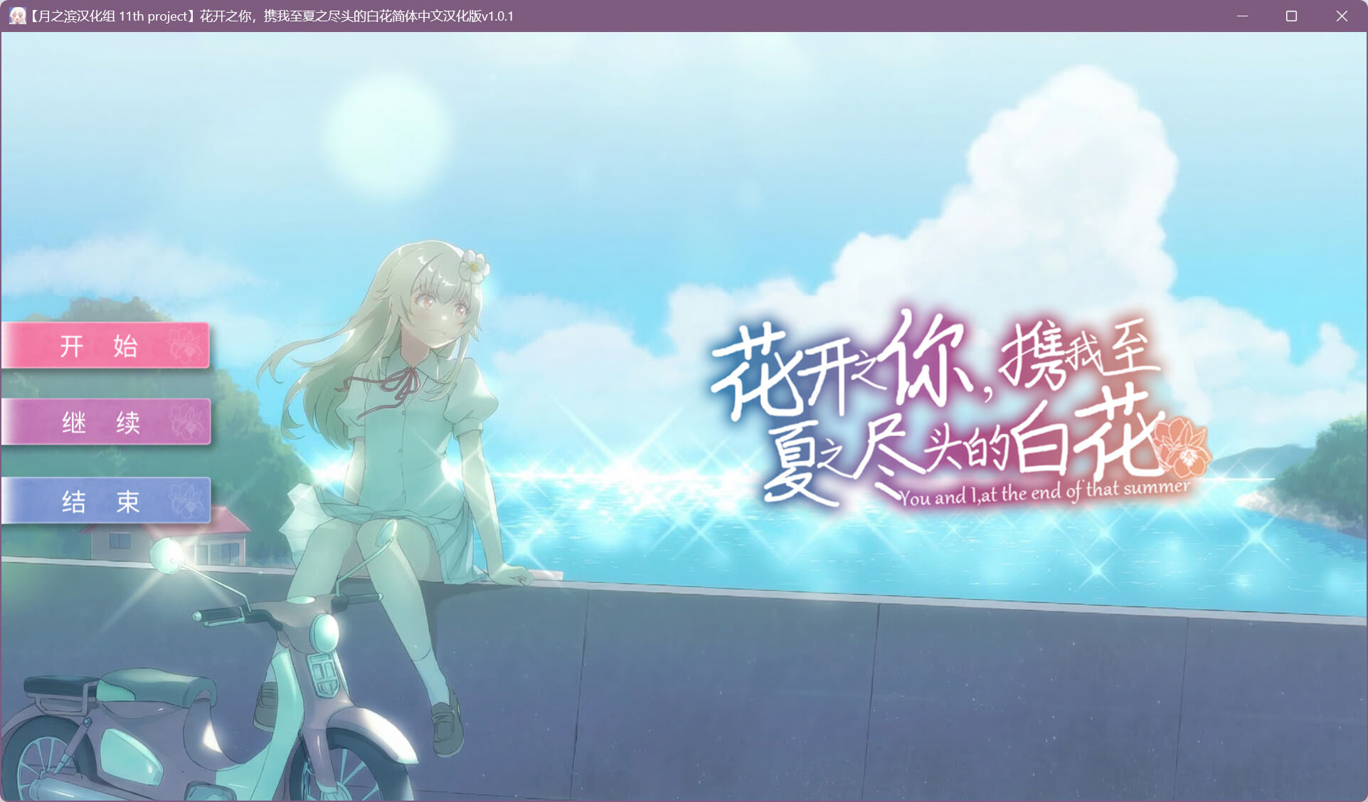 花开之你,携我至夏之尽头的白花