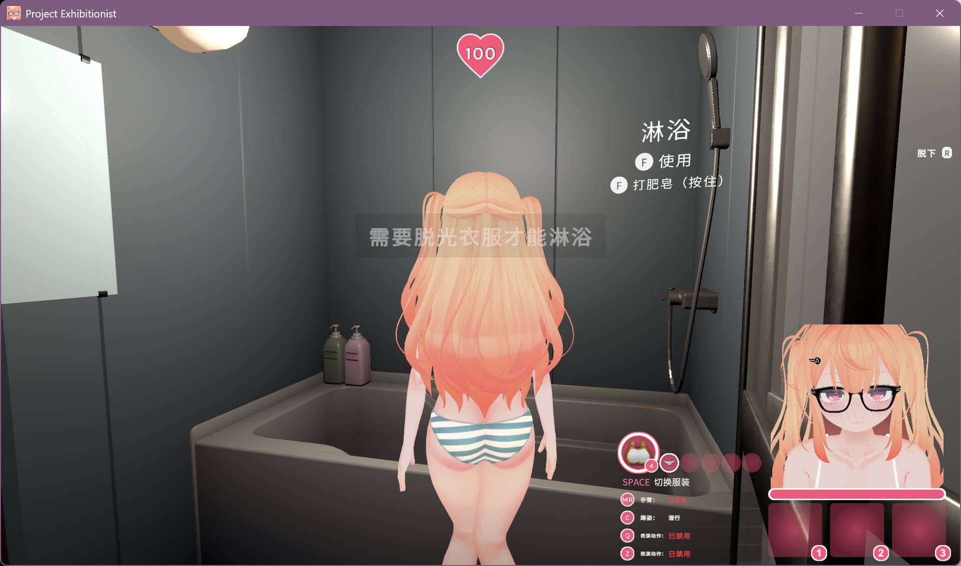 Project Exhibitionist